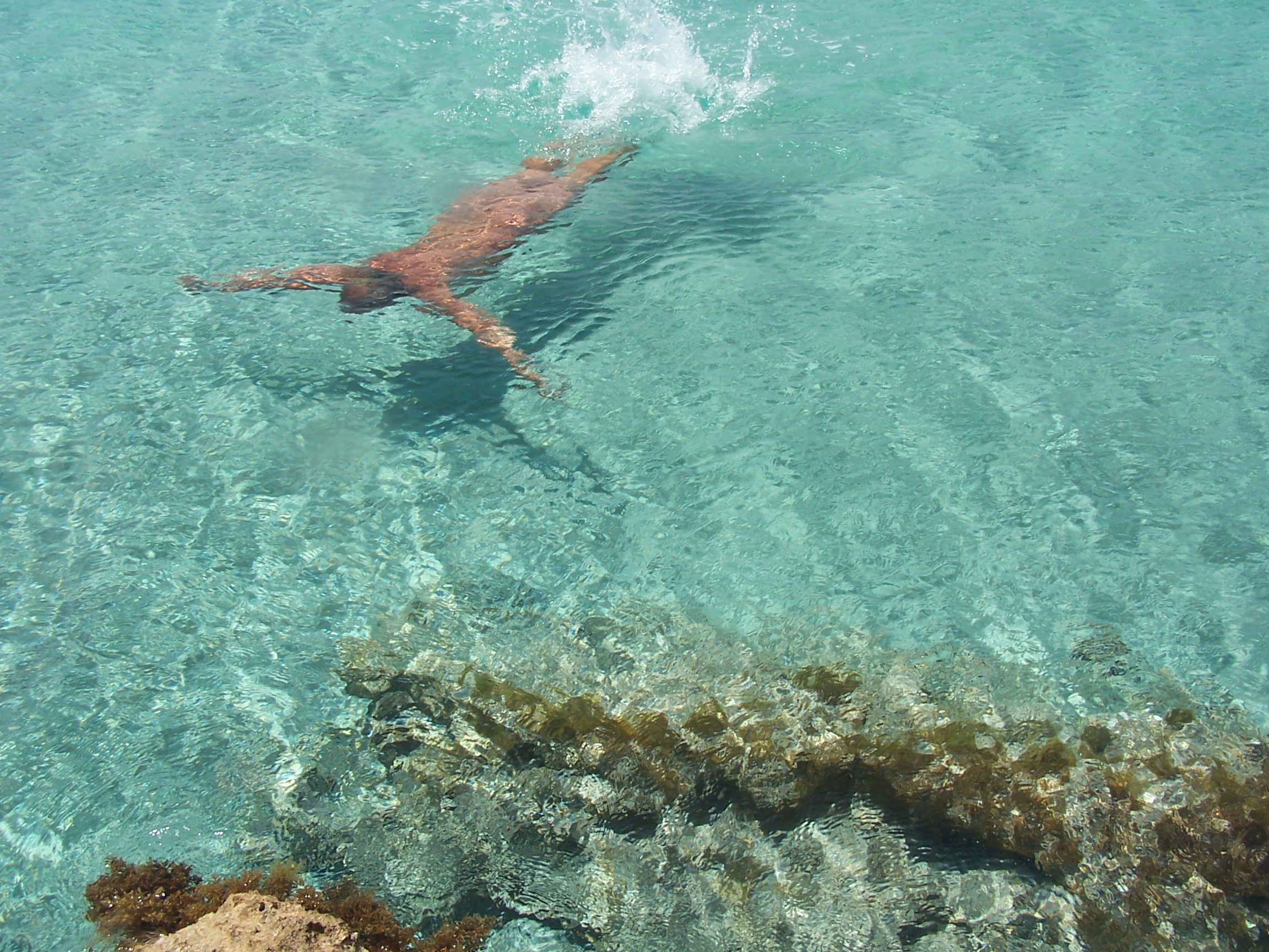 Naturismo e nudismo: Esplorazione della natura e del corpo umano all'aperto